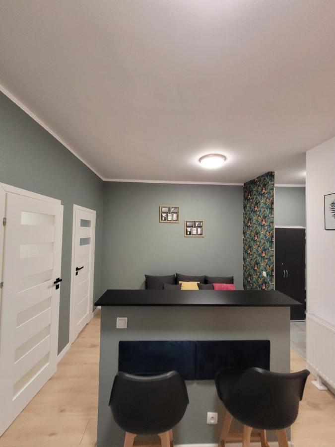 Apartamenty Cieplicka 20 Jelení Hora Exteriér fotografie